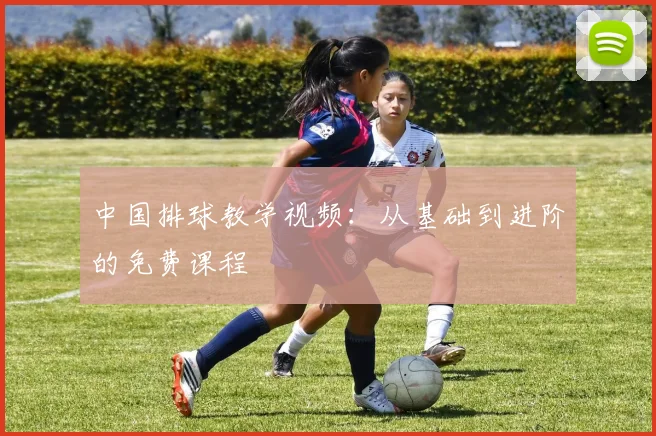 中国排球教学视频:从基础到进阶的免费课程