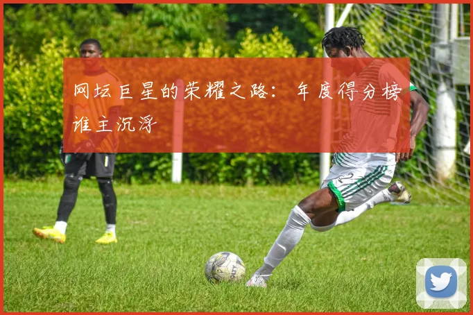 网坛巨星的荣耀之路：年度得分榜谁主沉浮